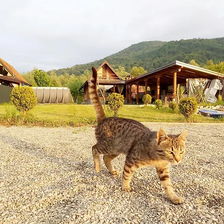 Nyaraló Kuca Za Odmor 